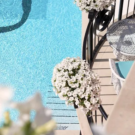 Dune - Free Access 써니비치